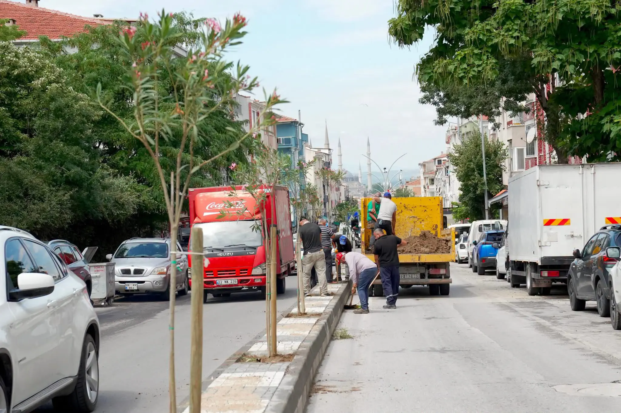 YEŞİL EDİRNE: 26 NOKTADA 5 BİN 75 YENİ DİKİM galeri görseli